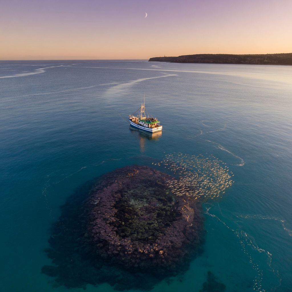 Best Tide Windows for Offshore Reef Fishing
